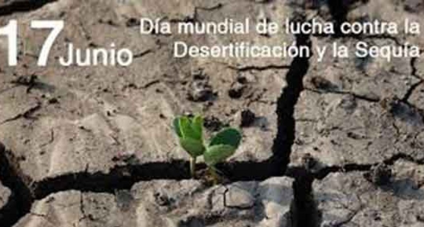 D&iacute;a Mundial de Lucha contra la Desertificaci&oacute;n y la Sequ&iacute;a