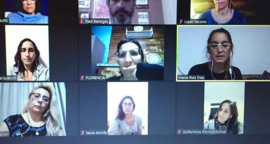 La Directora de Discapacidad participó de un encuentro virtual regional 