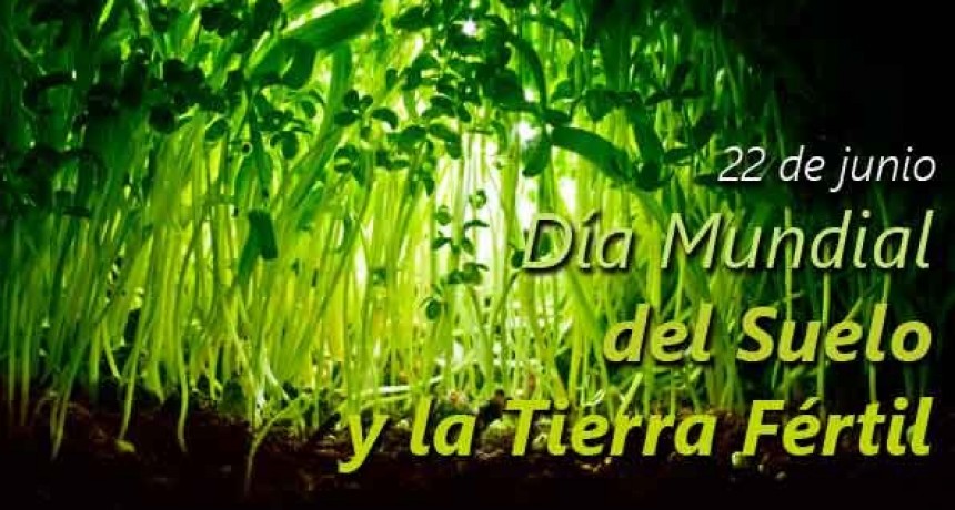 D&iacute;a mundial del suelo y tierra f&eacute;rtil
