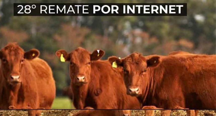 Monasterio Tattersall realiza el 28&deg; remate por internet
