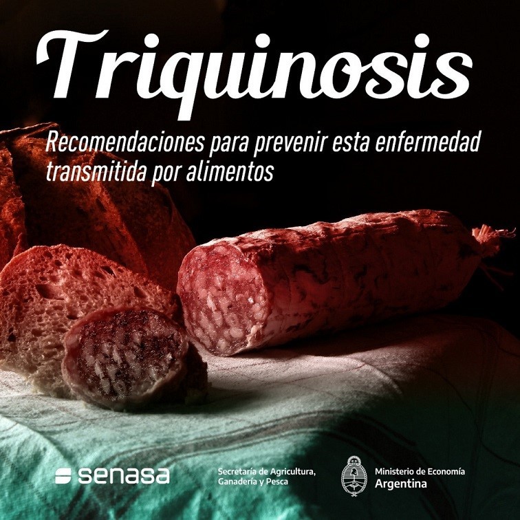 Informe del SENASA: Prevenir la Triquinosis para evitar riesgos y cuidar la salud de los consumidores