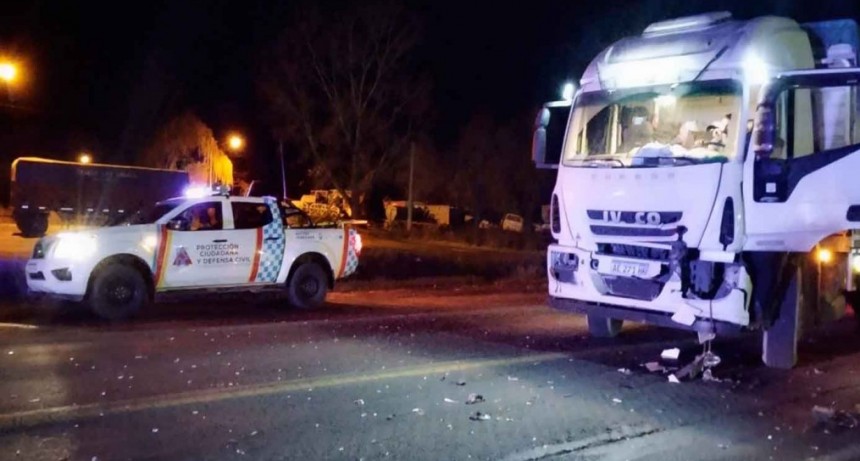 Ruta 226: Esta madrugada, un camión impactó contra un equino