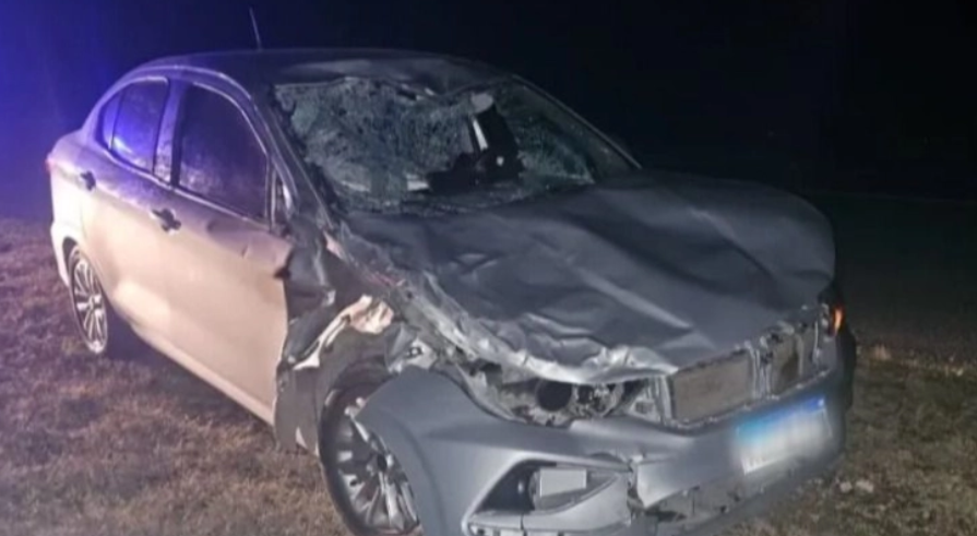 Violento siniestro en Ruta 51: Un auto terminó destrozado tras chocar contra una vaca