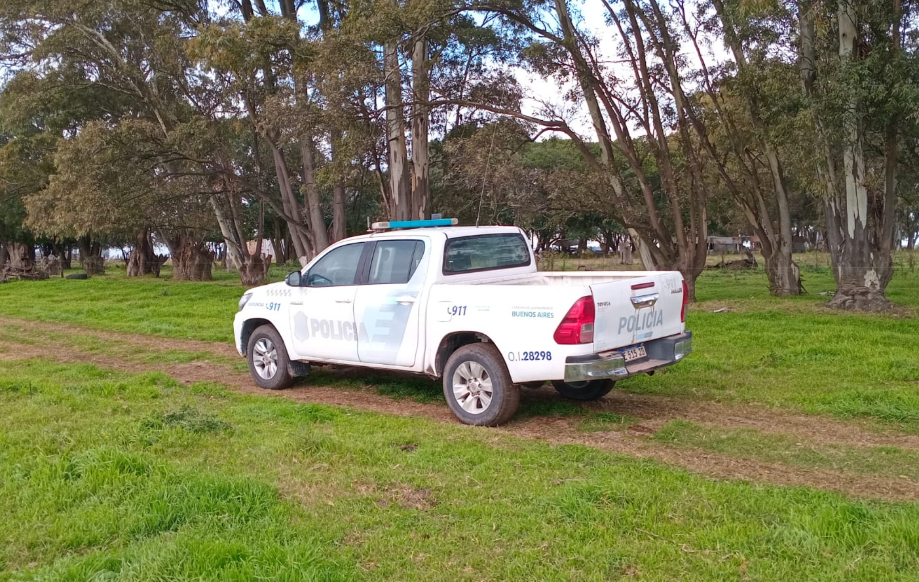 Robo de Hacienda: Cargaron 25 terneros de destete en un campo que está en jurisdicción de Tapalqué, pero son de una familia bolivarense