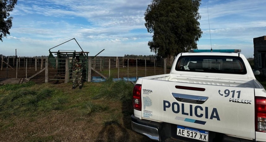 Informe Oficial Comando de Prevención Rural Bolívar: Se lograron recuperar 12 animales vacunos que faltaban desde mayo