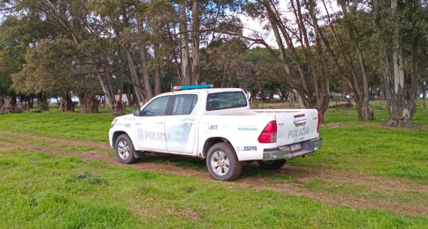 Robo de Hacienda: Cargaron 25 terneros de destete en un campo que está en jurisdicción de Tapalqué, pero son de una familia bolivarense