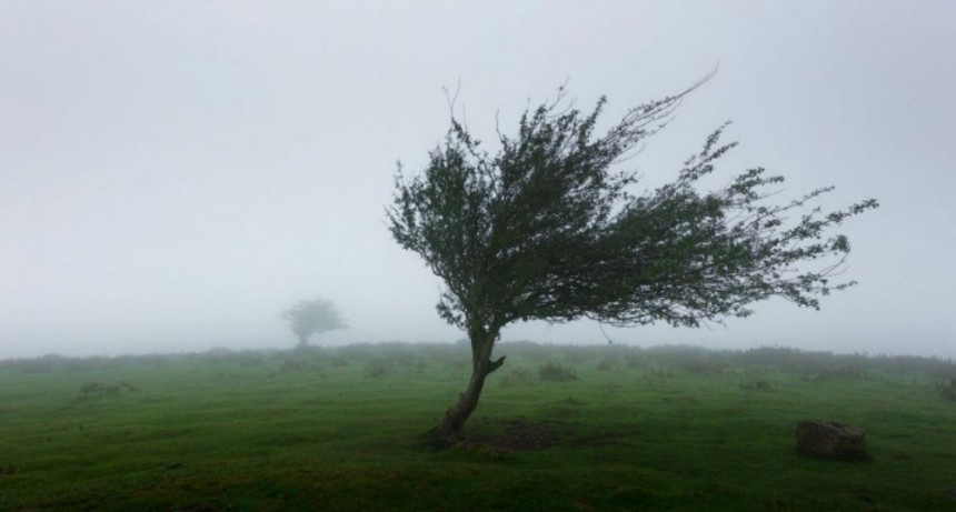 Alertas por fuertes vientos para toda la provincia de Buenos Aires, vigentes hasta el lunes