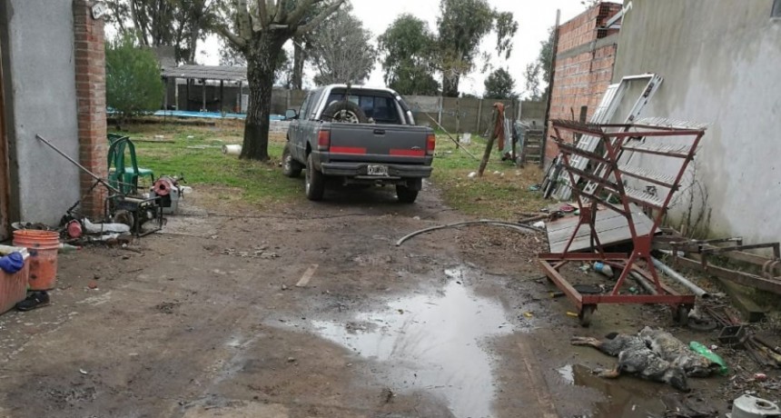 Informe oficial del CPR Bol&iacute;var: Causa Caratulada Abigeato 