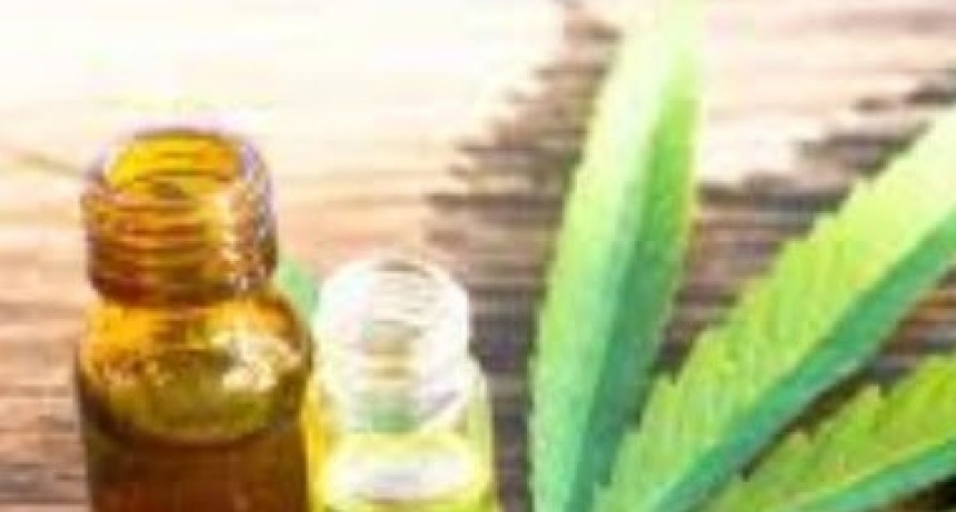 Por pedido de la Defensor&iacute;a, la Justicia orden&oacute; al Estado suministrar cannabis medicinal