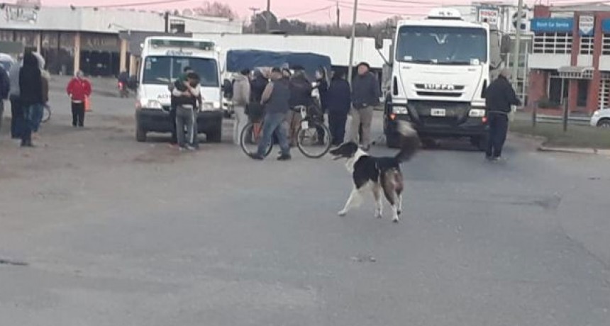 Saladillo: Tragedia en la ruta nacional 205; una mujer fallecida