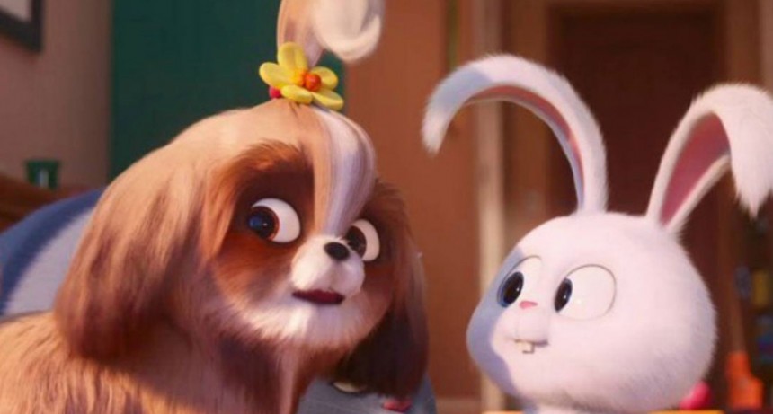 El Cine Avenida y una semana dedicada a conocer &lsquo;La vida secreta de tus mascotas 2&rsquo;