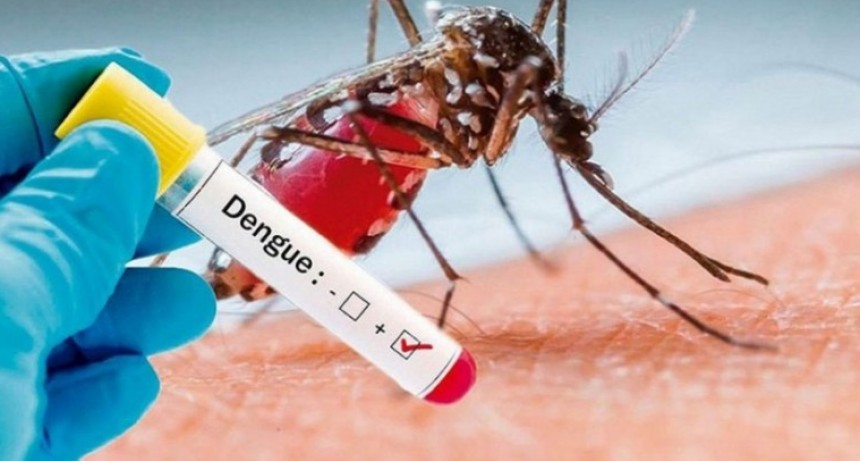 Confirmaron 4.500 casos de dengue en la Provincia de Buenos Aires