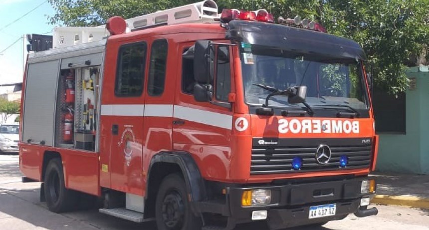 Bomberos voluntarios acudi&oacute; al rescate de dos animales