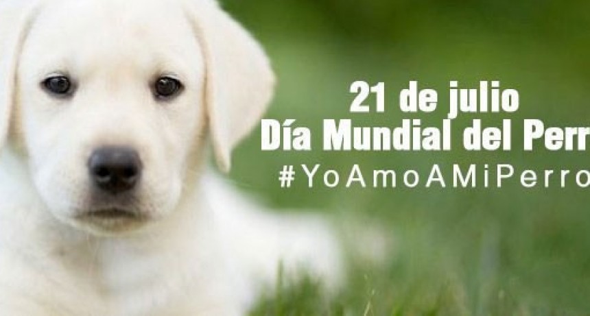 D&iacute;a Mundial del Perro
