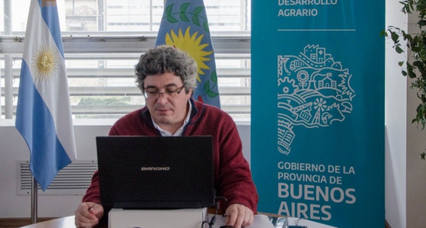 R&eacute;cord de las exportaciones de miel en los primeros meses del a&ntilde;o