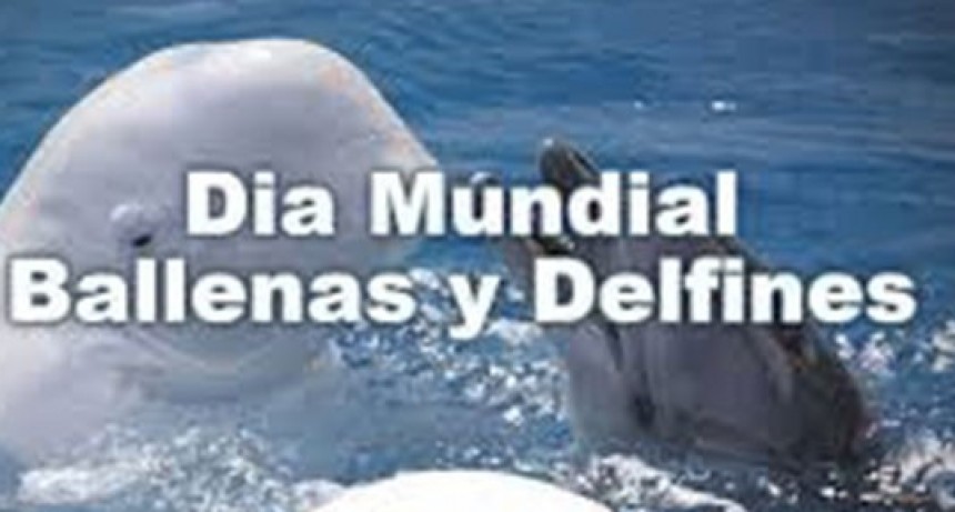 D&iacute;a Mundial de las Ballenas y los Delfines
