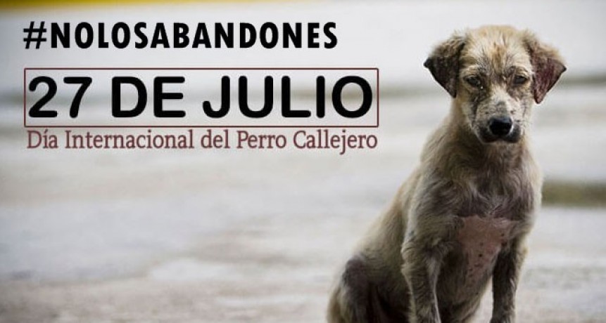 D&iacute;a Internacional del Perro Callejero