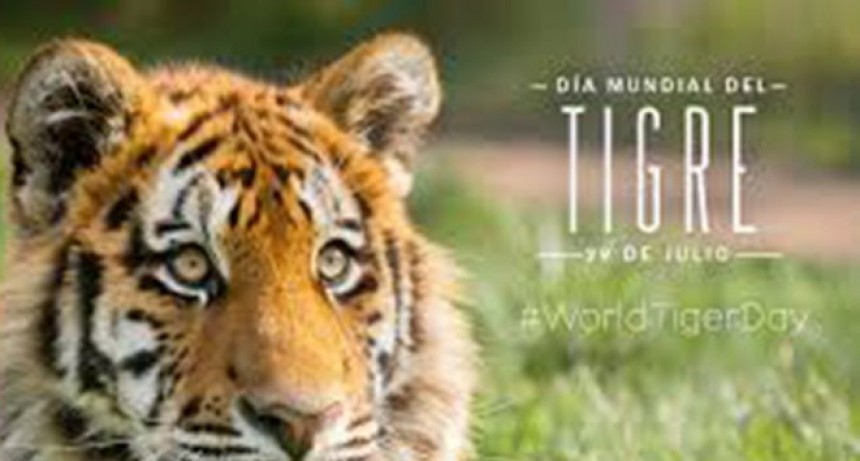 D&iacute;a Internacional del Tigre