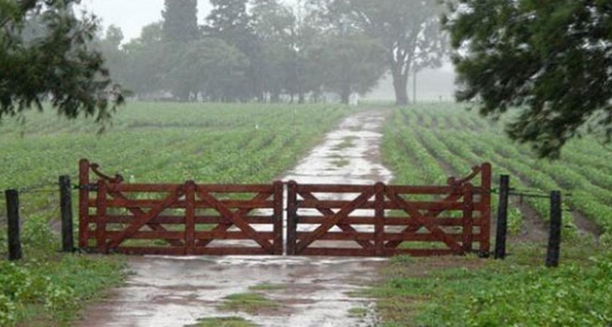 Lluvias de invierno con tormenta eléctrica, se registraron entre 5 y 25 milímetros en la zona y planta urbana