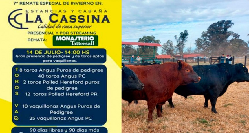 Se acercan los remates de Cabañas de la mano de Monasterio Tattersall