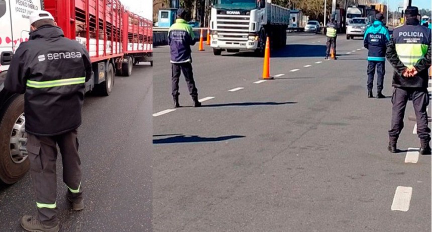 “Controlamos la inocuidad de los agroalimentos transportados destinados al consumo interno y exportación”