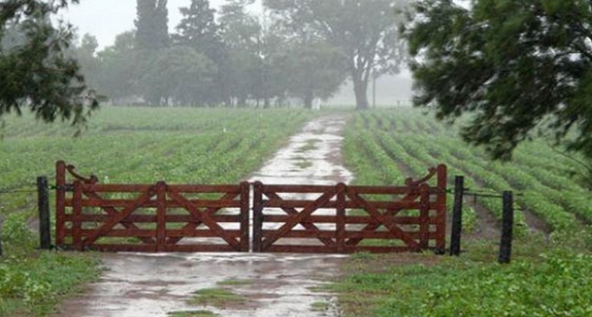 Lluvias dispares en toda la región