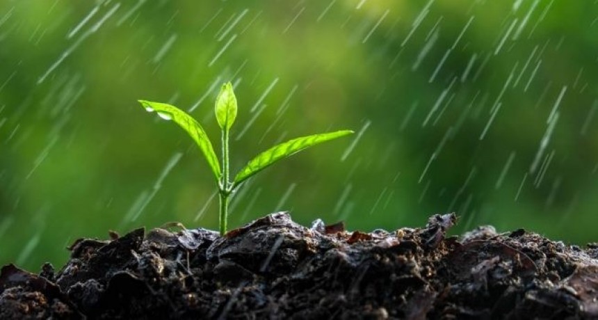 Con varios chaparrones, se sumaron 21 milímetros en la planta urbana de Bolívar
