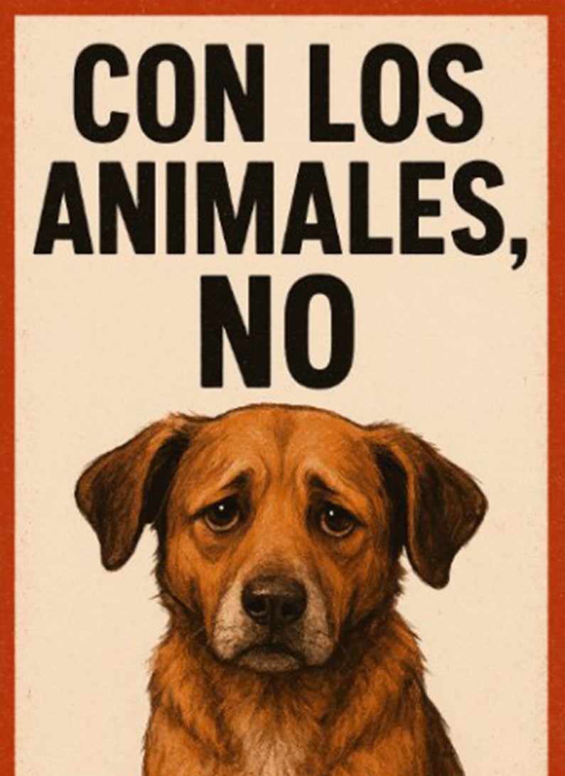 El Municipio repudia y acciona frente a los reiterados hechos de envenenamiento de animales en la ciudad