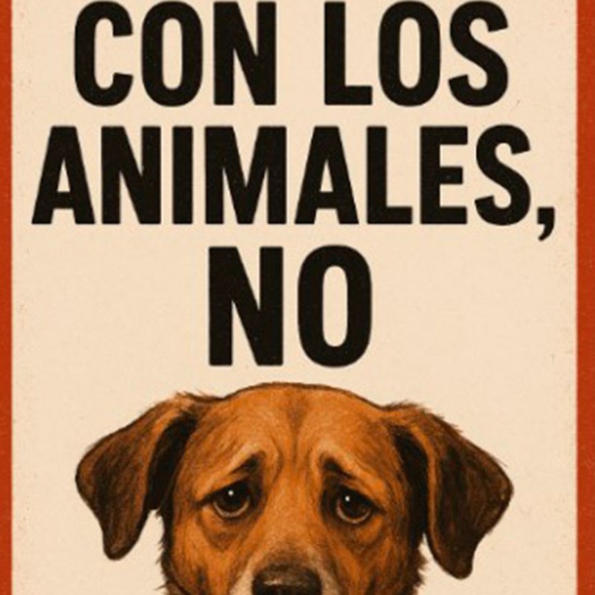 El Municipio repudia y acciona frente a los reiterados hechos de envenenamiento de animales en la ciudad