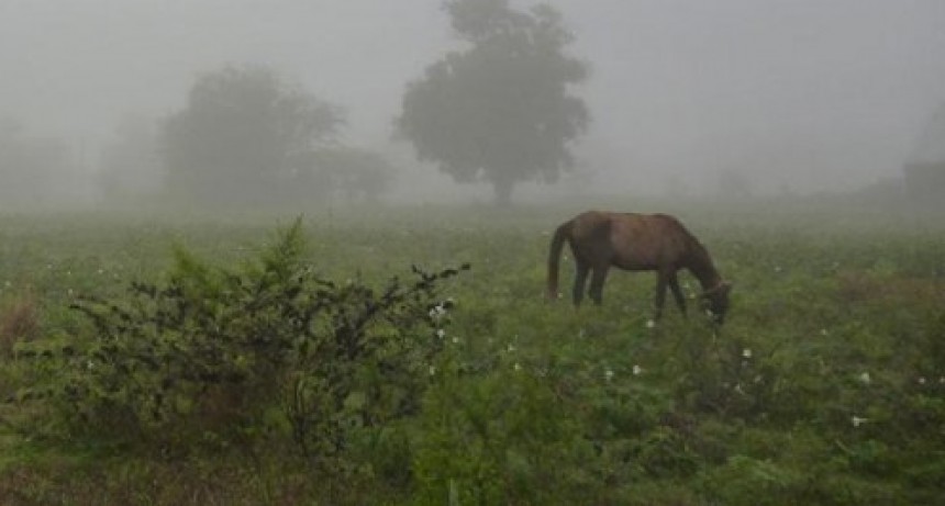 Registro de lluvias: Hasta 50 mm en el partido de Bol&iacute;var