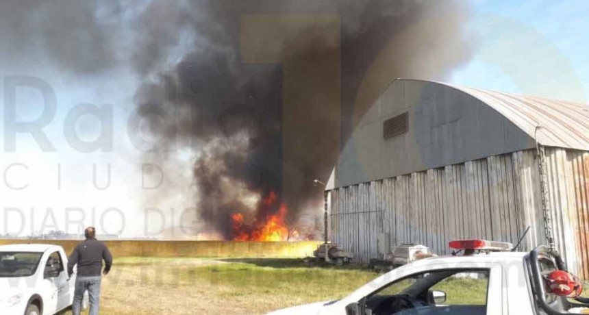 Intensa actividad de Bomberos a ra&iacute;z del fuerte viento