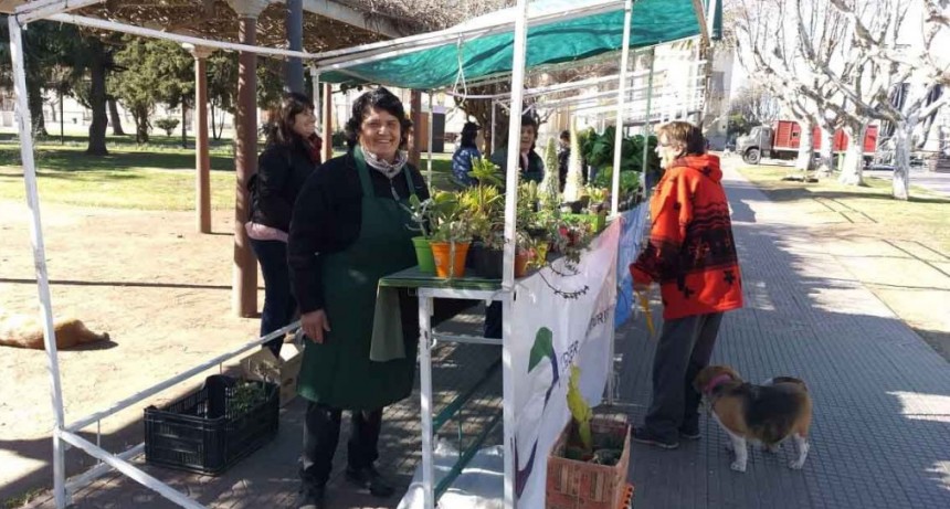 Un s&aacute;bado m&aacute;s de Feria Verde en el centro de la ciudad