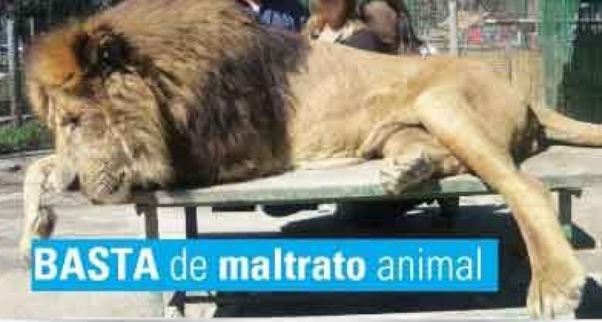 La Defensor&iacute;a reclam&oacute; que se inhabilite el zool&oacute;gico de Luj&aacute;n, por maltrato animal