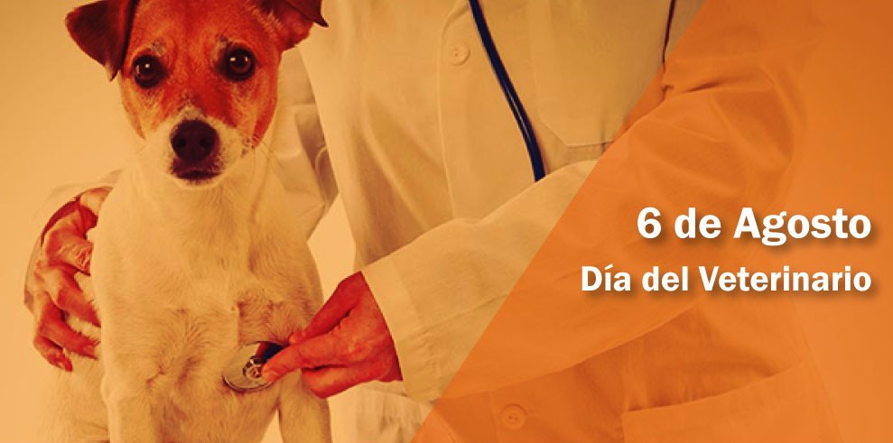 Dia Del Veterinario