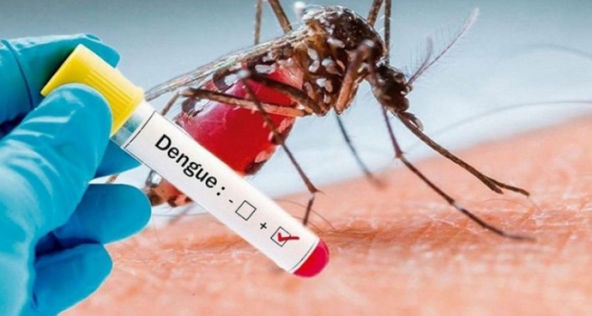 Se detectaron 5800 casos de dengue en territorio bonaerense en lo que va del a&ntilde;o