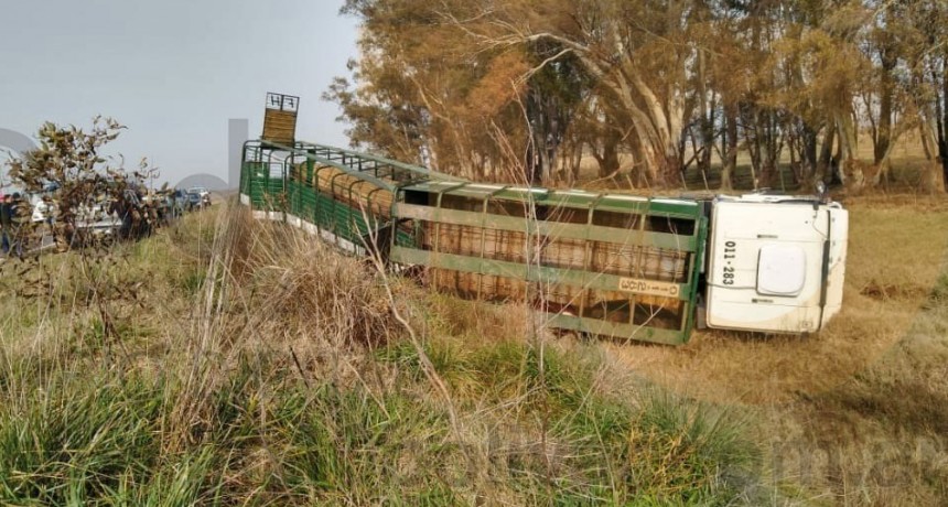 Se produjo el vuelco de un cami&oacute;n con vacunos en Ruta 65 