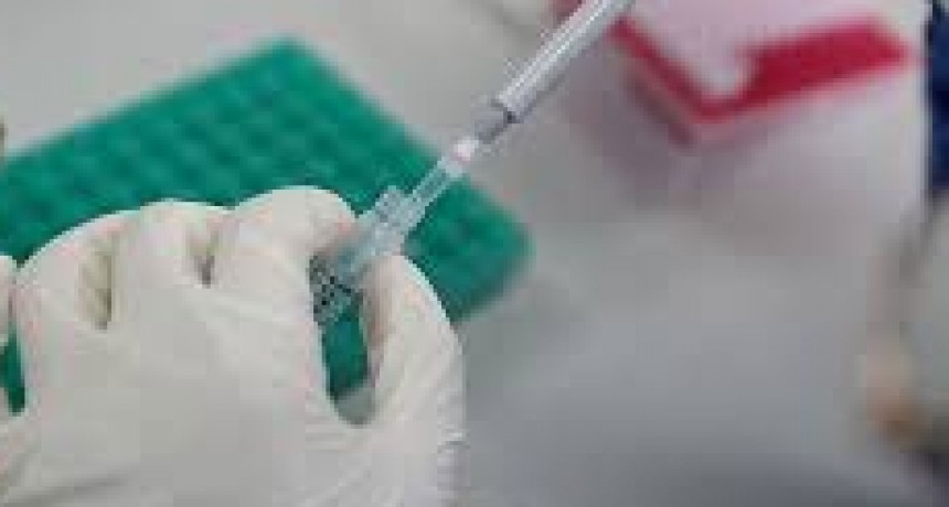 Avanza el ensayo cl&iacute;nico con suero equino; &lsquo;Puede ser un elemento muy importante para paliar el impacto de la pandemia&rsquo;