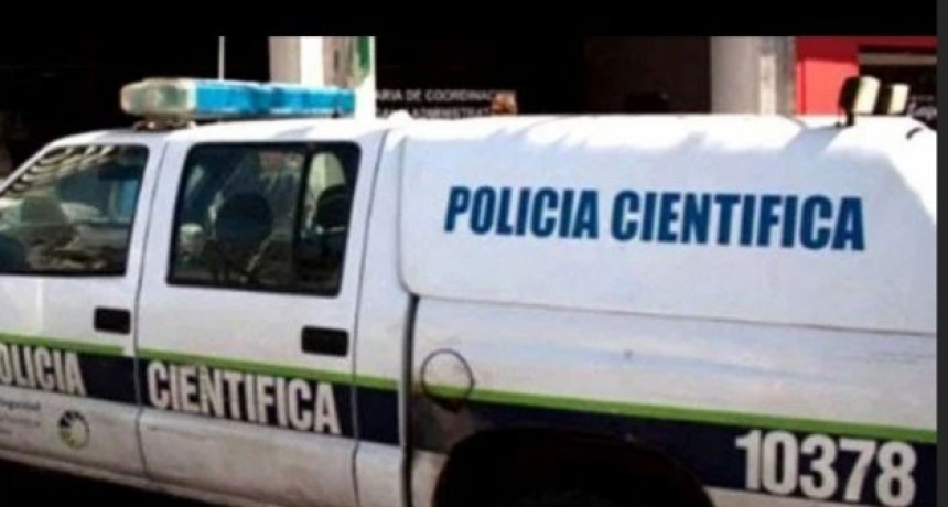 Robaron materiales de construcci&oacute;n, un televisor y un freezer en distintos domicilios