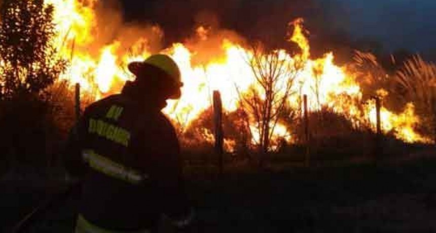 Dudignac; Mas de 5 hs. de trabajo le demand&oacute; a Bomberos de esa localidad controlar un voraz incendio rural que lleg&oacute; a tener 3 metros de altura
