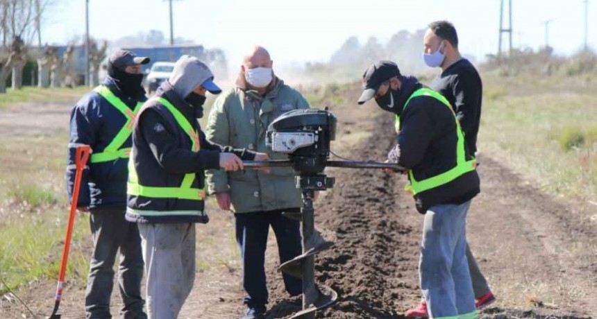 La Direcci&oacute;n de Paisajes comenz&oacute; una plantaci&oacute;n de 700 &aacute;rboles en Ibarra