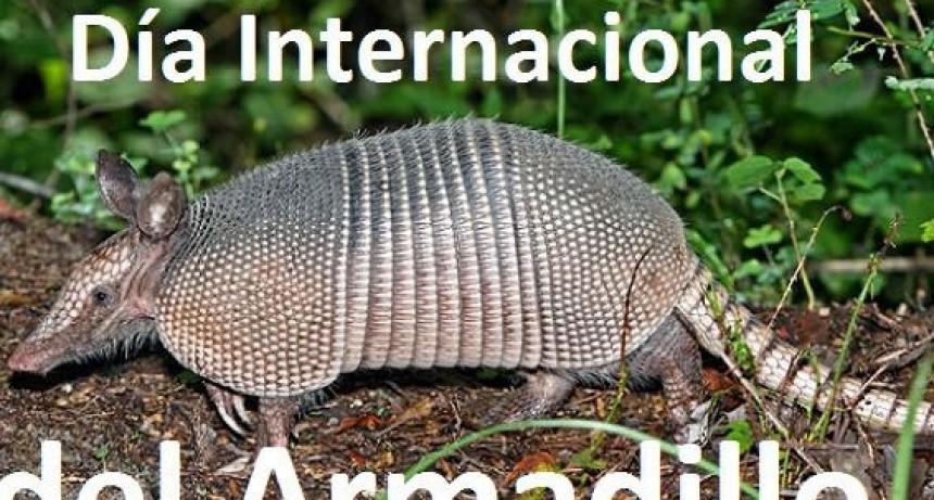 D&iacute;a Internacional del Armadillo