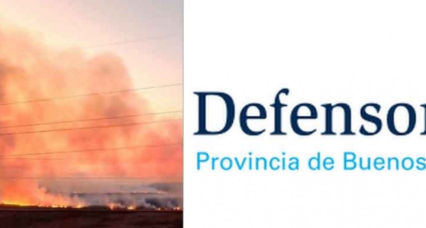 Los Defensores del Pueblo fueron a la Corte por los incendios en el Delta del Paran&aacute;