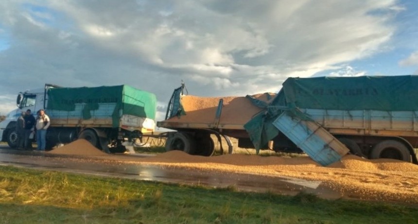 Se recupera el camionero accidentado en Bah&iacute;a Blanca