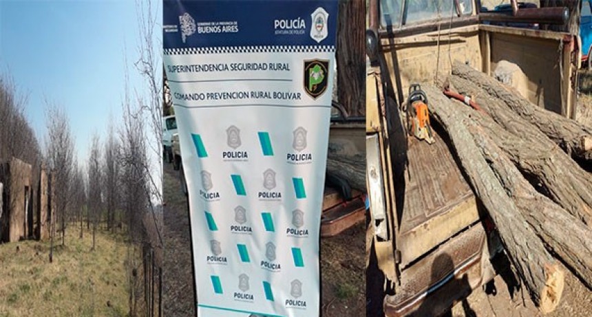 Informaci&oacute;n Oficial CPR: Fueron aprehendidas dos personas cuando se llevaban palos de Acacio de un predio