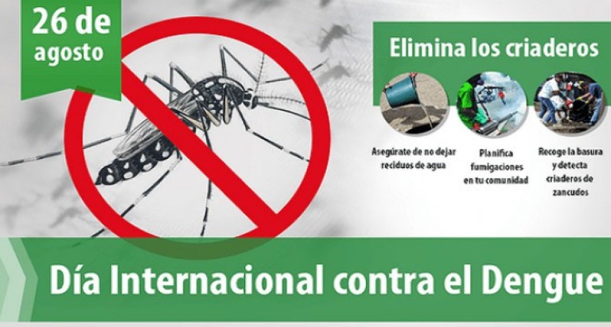 D&iacute;a Internacional contra el Dengue