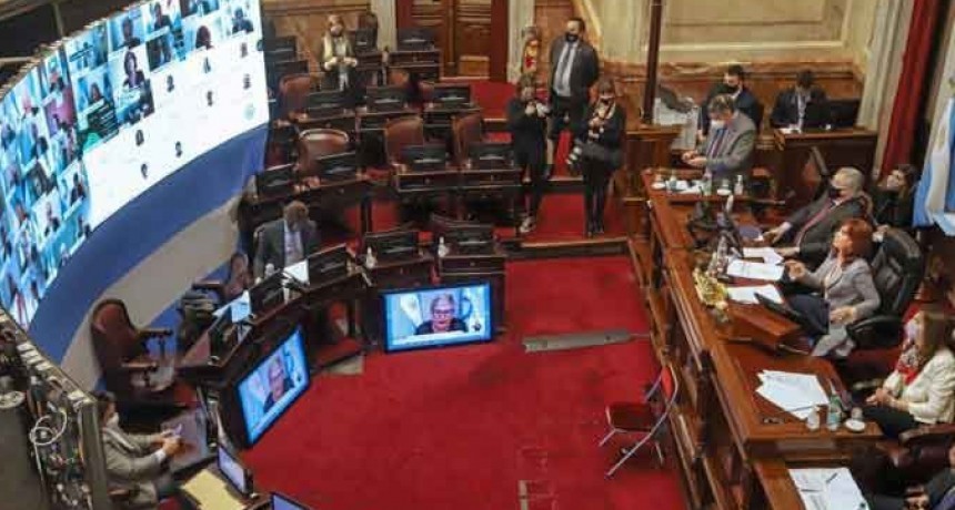 La Reforma judicial logr&oacute; la media sanci&oacute;n y ahora le espera un camino dif&iacute;cil en Diputados