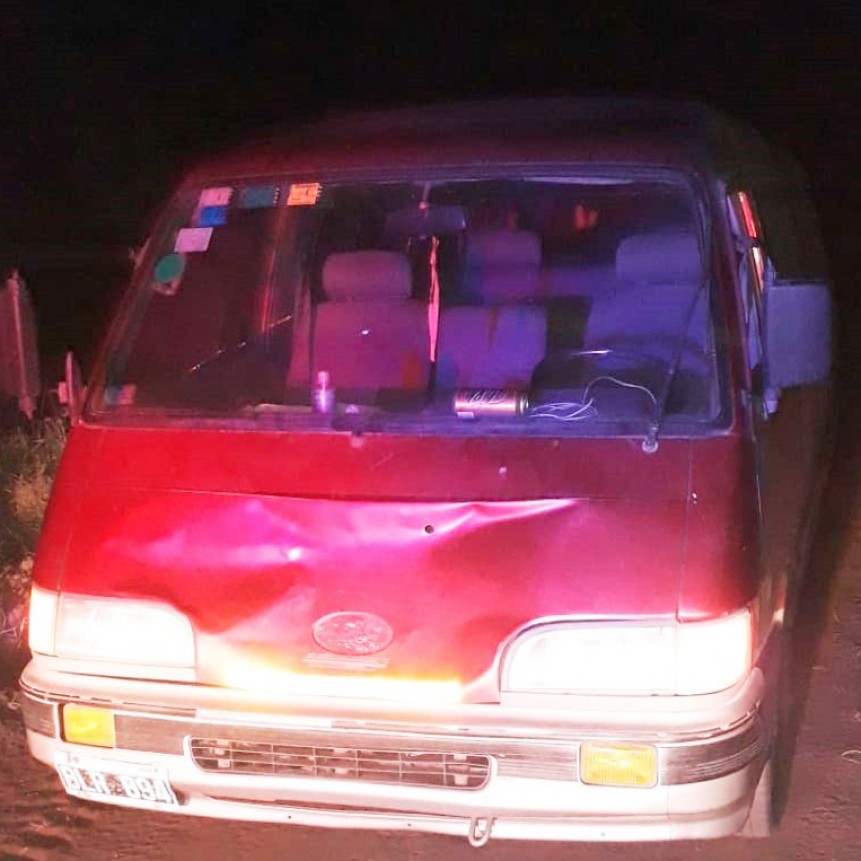 Un conductor impactó contra un animal vacuno en un camino rural