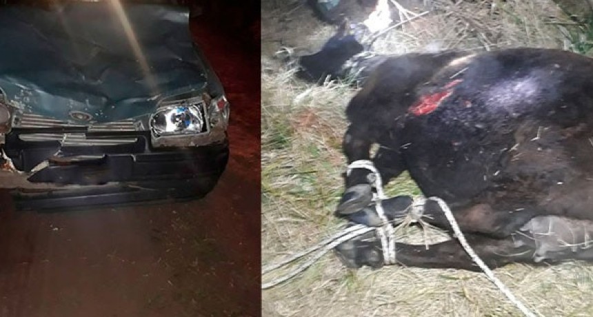 Transitaban por un camino rural a bordo de su auto y colisionaron con un animal vacuno