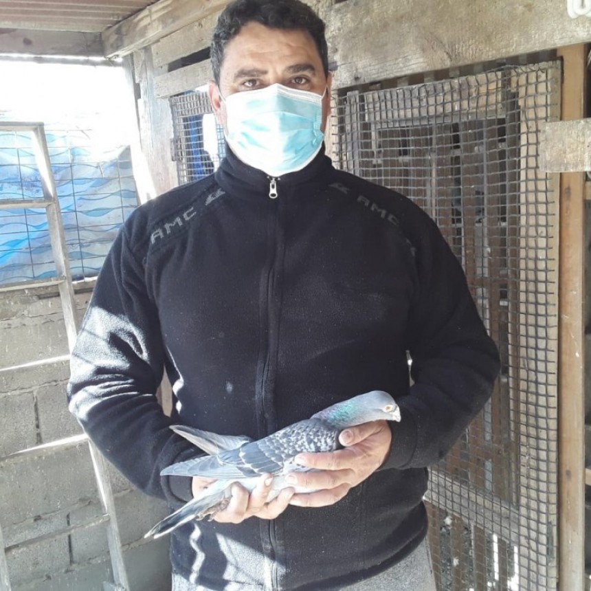 Rubén Islas (Colombofilia): 