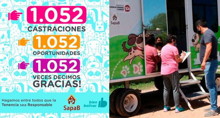 El Municipio y Sapaab realizaron 1.052 castraciones entre enero y julio de este año